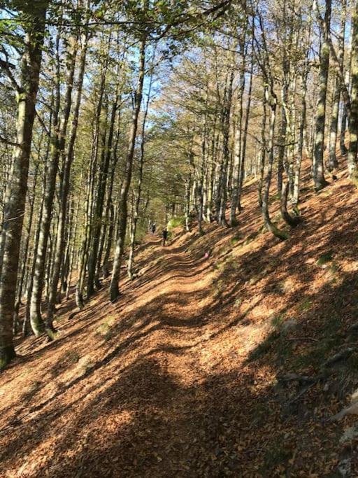 فيلا جوراردُميهفي La Magie Entre Deux Lacs المظهر الخارجي الصورة
